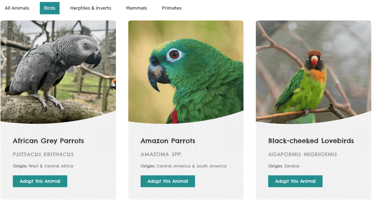 Three animals in individual cards with their names